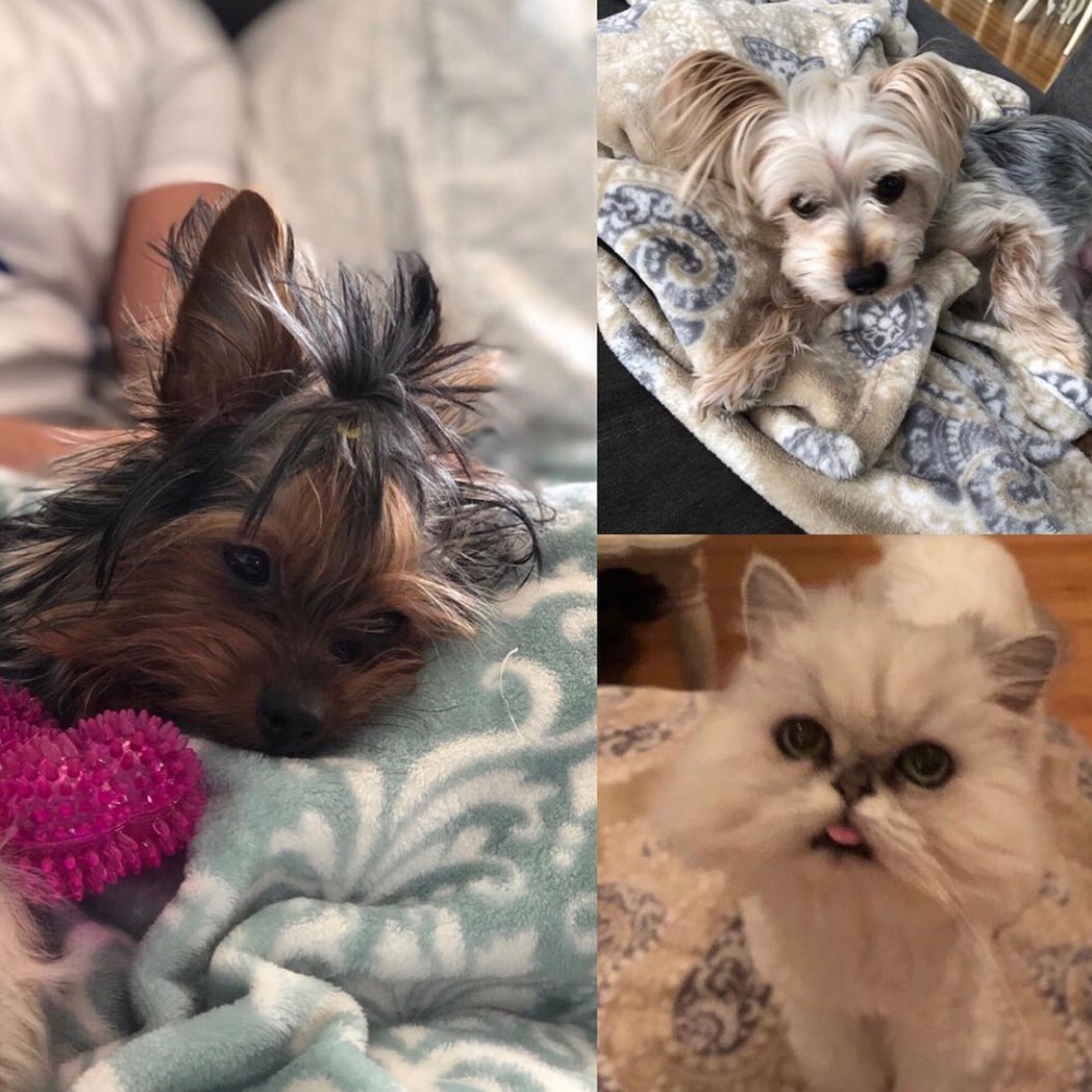 My babies ❤️❤️❤️